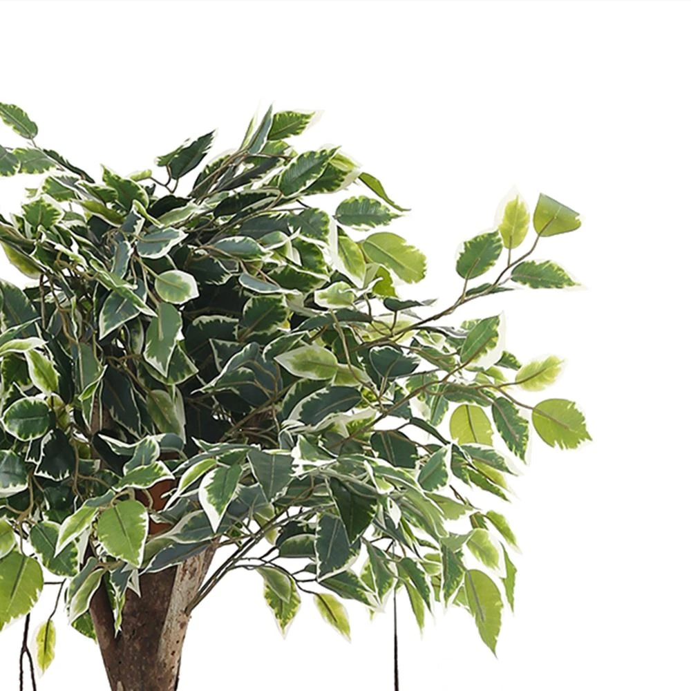 white edged Banyan Leaves Plastic Tree