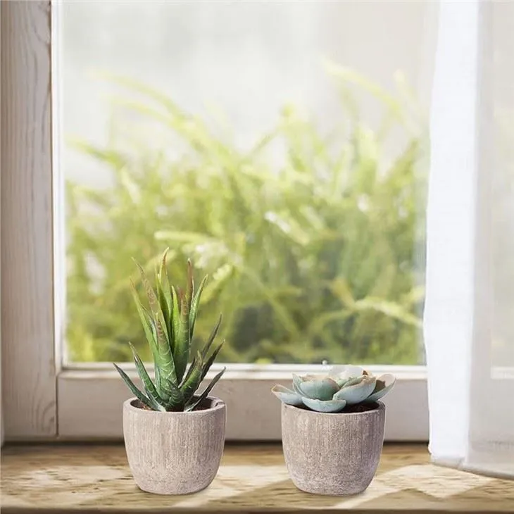 Artificial Succulents in Pots