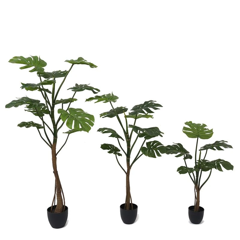 How to make a simulated monstera tree