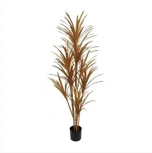 Sun'iy Yucca daraxti o'simlik